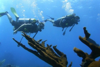 Buceo en arrecife